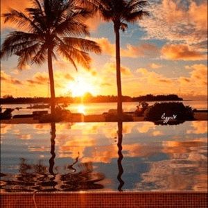 Meet your Posher, Tahmina